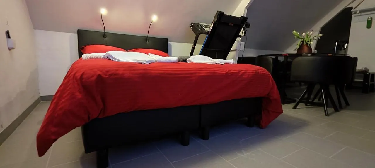 Logeerkamer Xxl 25 M2 Zemst